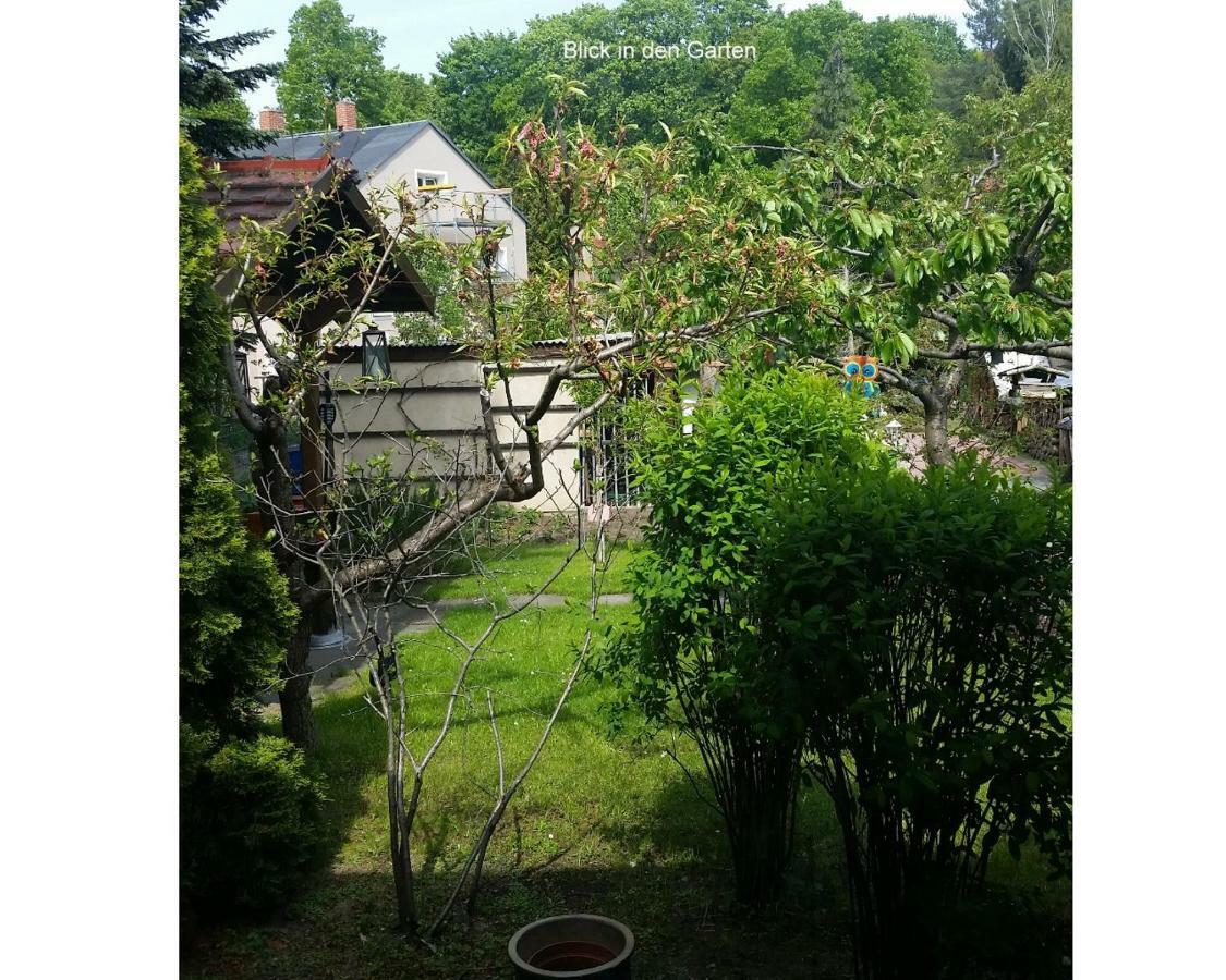 Ferienwohnung Gerlach Drezda Kültér fotó